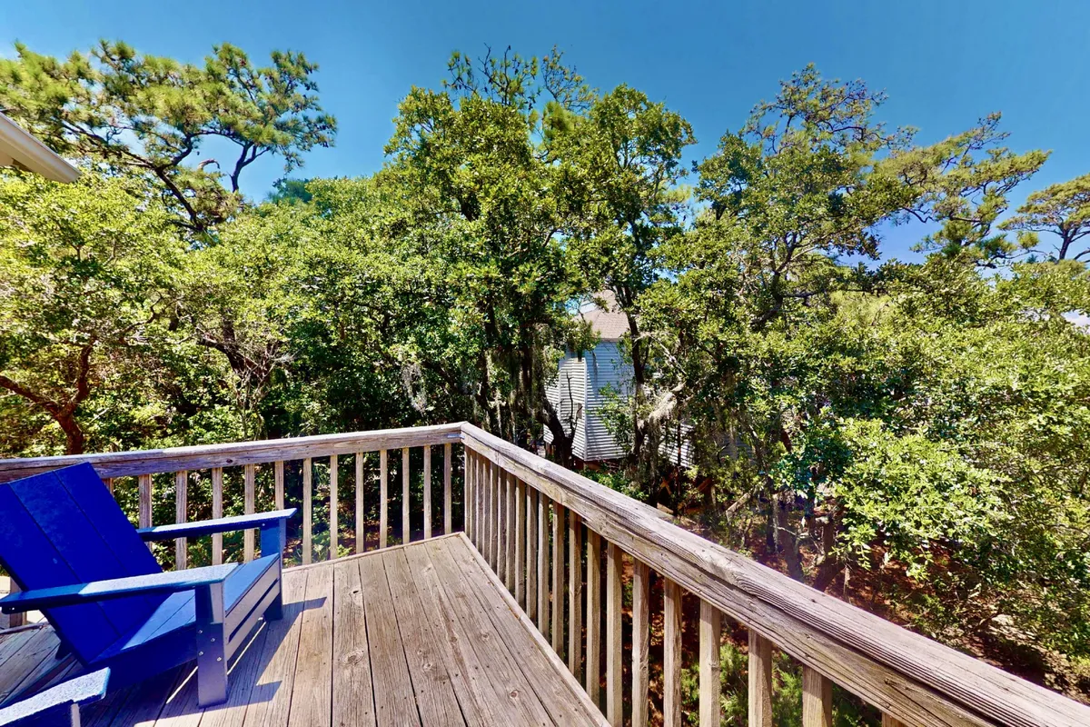 A wooden deck furnished with a blue chair sits nestled among dense greenery, offering a secluded spot perfect for reading, relaxing, or simply enjoying the natural surroundings. The scene hints at opportunities to watch wildlife or enjoy quiet reflection.